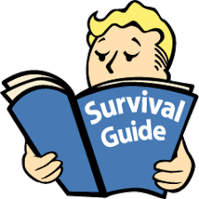 Fallout personnage survival guide